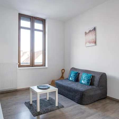 Le Manoir De Cyrielle A 10 Min Du Centre De Strasbourg Appartement