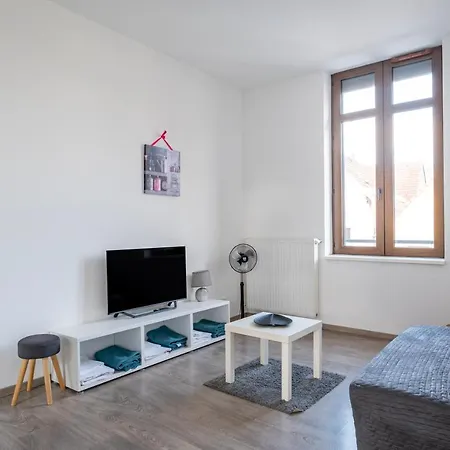 Le Manoir De Cyrielle - Wifi - 20 Min Centre De Strasbourg Appartement *