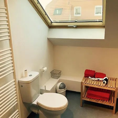 Le Manoir De Cyrielle A 10 Min Du Centre De Strasbourg Appartement Bischheim