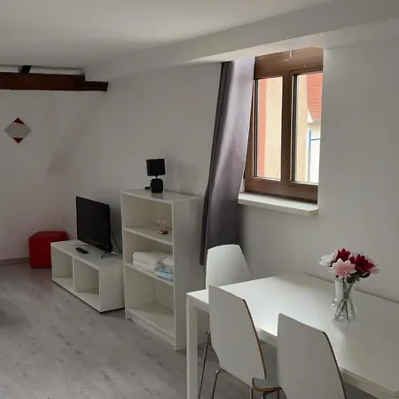 Le Manoir De Cyrielle A 10 Min Du Centre De Strasbourg Apartmán