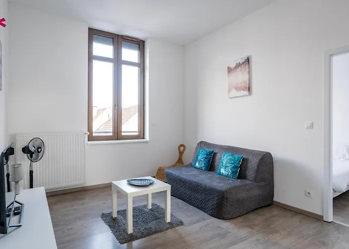 Le Manoir De Cyrielle A 10 Min Du Centre De Strasbourg Διαμέρισμα