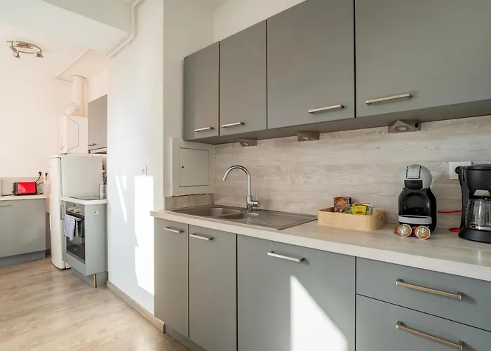 Le Manoir De Cyrielle A 10 Min Du Centre De Strasbourg Διαμέρισμα Bischheim