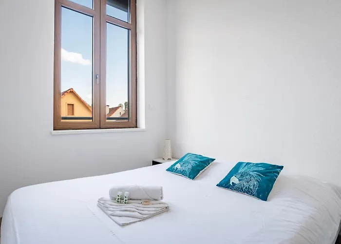 Le Manoir De Cyrielle A 10 Min Du Centre De Strasbourg Διαμέρισμα