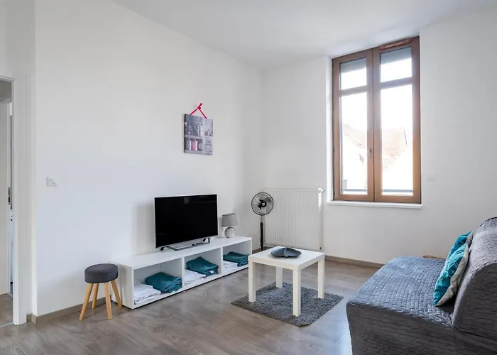 Le Manoir De Cyrielle A 10 Min Du Centre De Strasbourg Apartment *