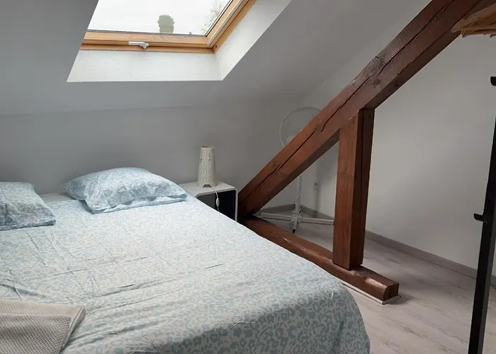 Διαμέρισμα Le Manoir De Cyrielle A 10 Min Du Centre De Strasbourg