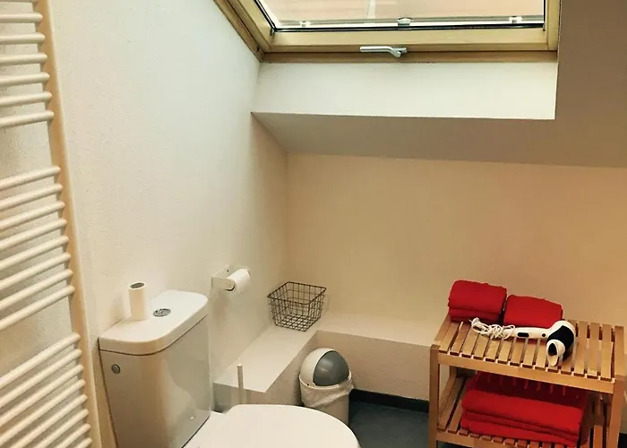 Le Manoir De Cyrielle A 10 Min Du Centre De Strasbourg Διαμέρισμα Bischheim