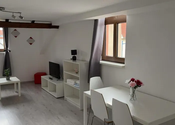 Le Manoir De Cyrielle A 10 Min Du Centre De Strasbourg Διαμέρισμα