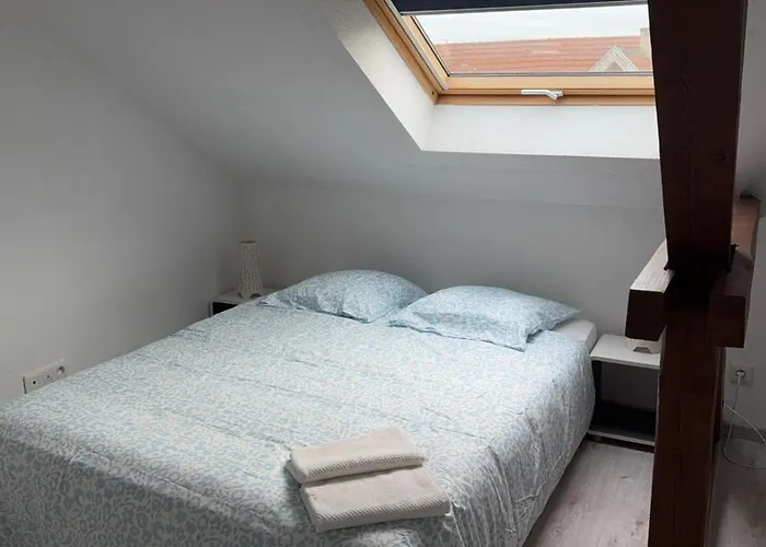 Le Manoir De Cyrielle A 10 Min Du Centre De Strasbourg Διαμέρισμα *